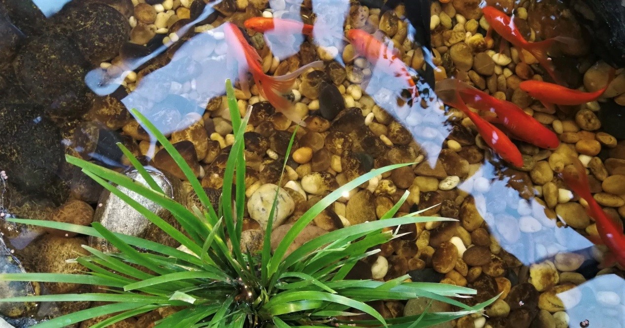 医院管理